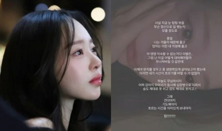 박성광 아내 이솔이, 눈물의 고백…“이별은 익숙해지지 않는다” ....