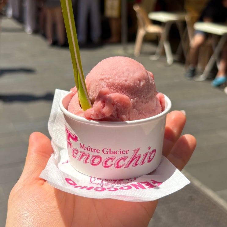 남프랑스 니스 젤라또 맛집 페노치오 Fenocchio&스타벅스 가격
