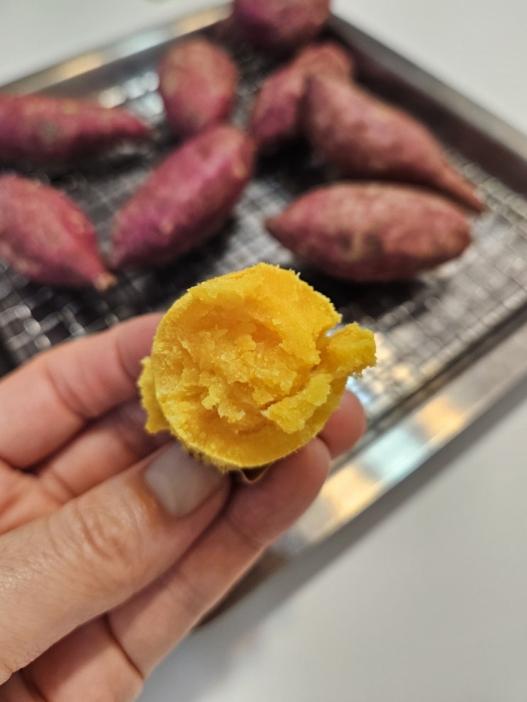 제철 고구마 시기별 보관법과 맛있게 먹는 방법 꿀팁 총정리