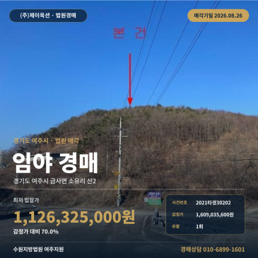 여주임야경매 여주지원ㅣ여주 임야 경매 2021타경30202 썸네일