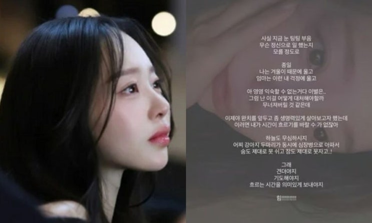 박성광 아내 이솔이, 눈물의 고백…반려견 두 마리가 동시에 무너졌....