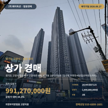 고양상가경매ㅣ경기도 고양시 일산서구 고양대로 666, 상가동 1층디105호 (일산동, 이편한세상일산어반스카이)ㅣ2024타경87125 썸네일