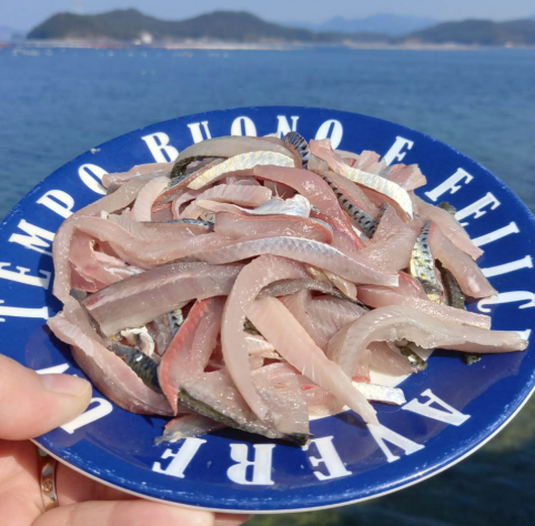 집 나간 며느리 다시 돌아올까? 부산 명지 전어축제 9월 열린다