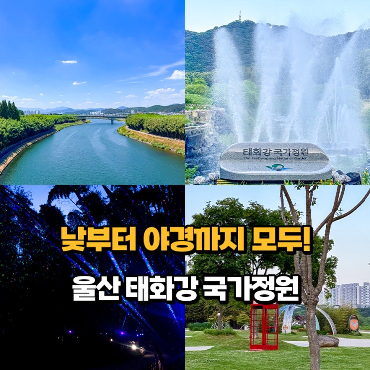 울산 가볼만한곳 태화강 전망대 국가정원 십리대숲 은하수길 야경 ....