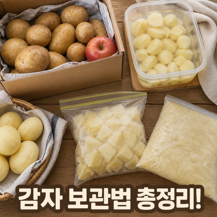 감자보관방법 실온 냉장 냉동 깐감자 보관법