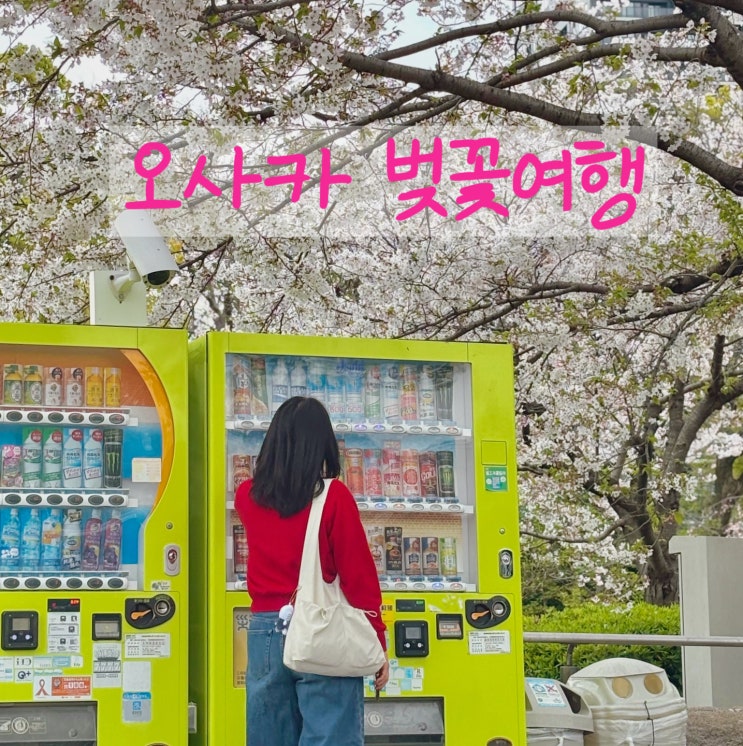 오사카 벚꽃여행 4) 덴노지공원 벚꽃구경, 츠텐카쿠 타워슬라이드 ....