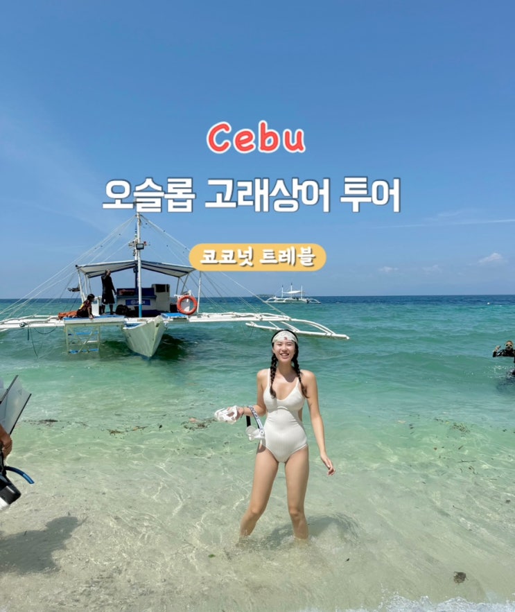 [세부 오슬롭 고래상어 투어] 코코넛 트레블 고래상어 , 투말록 폭포....