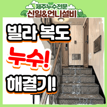 제주시 이도이동 근린공원근처, 제주누수! 복도까지 흘러나온 물? 여성누수전문가의 긴급 해결기!