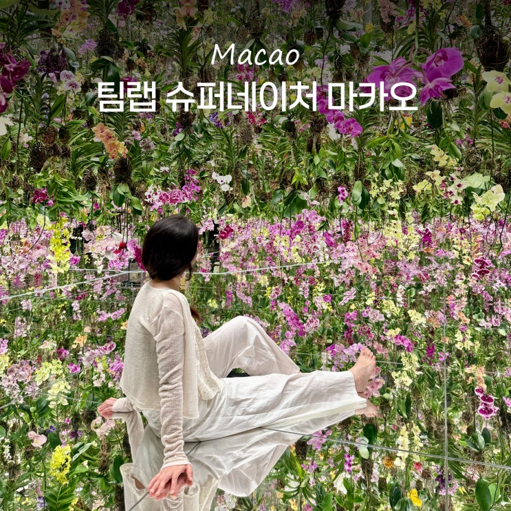 베네시안 마카오 호텔 가족여행 가볼만한곳 팀랩 슈퍼네이처 마카....
