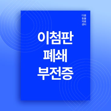 청주 강아지 심장병 이첨판폐쇄부전증 증상과 치료
