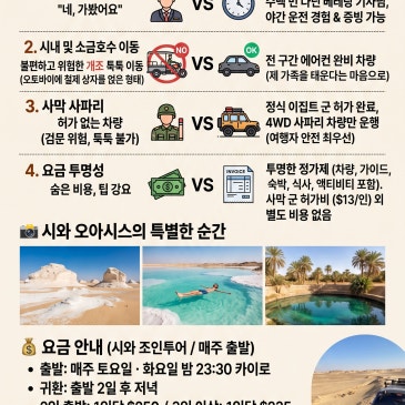 [2026 이집트 시와 오아시스] 예약 전 꼭 확인해야 할 안전 체크리스트 (ft. 툭툭 투어가 위험한 이유)