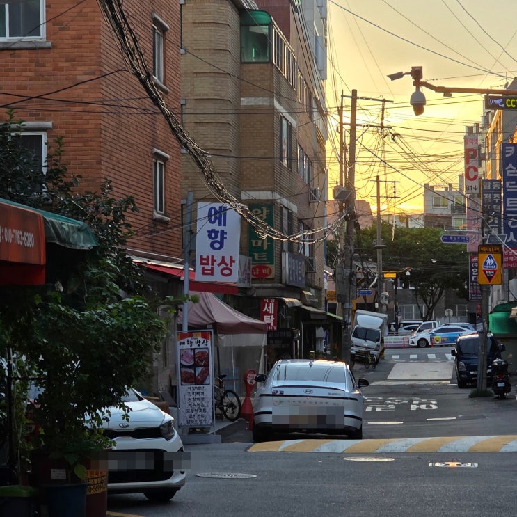 세종대생 추천 근처 군자역 혼밥 맛집 | 예향밥상 백반 후기 대표 이미지