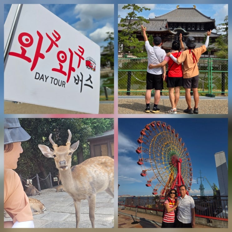 일본 온천 좋아하는 부모님과 오사카 근교 여행 버스투어 추천｜나라 사슴공원·아리마온천·고베 와쿠와쿠 하루 코스