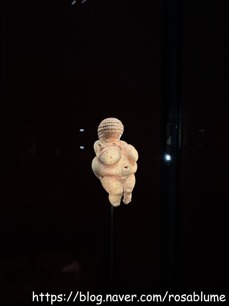 [오스트리아 여행] 빈 자연사 박물관 Naturhistorisches Museum Wien, NHM