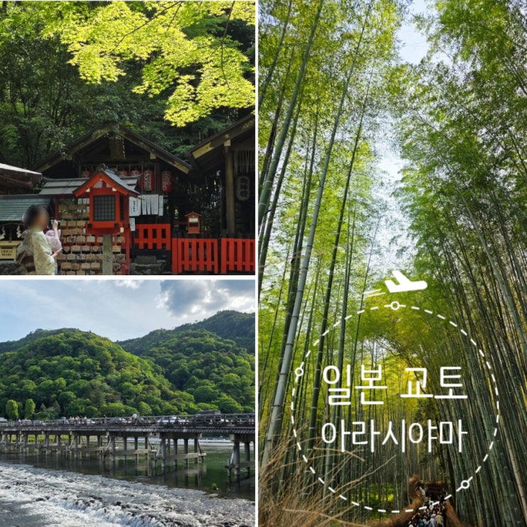 [일본 여행] 교토 아라시야마 대나무숲과 도게츠교, 노노미야 신사