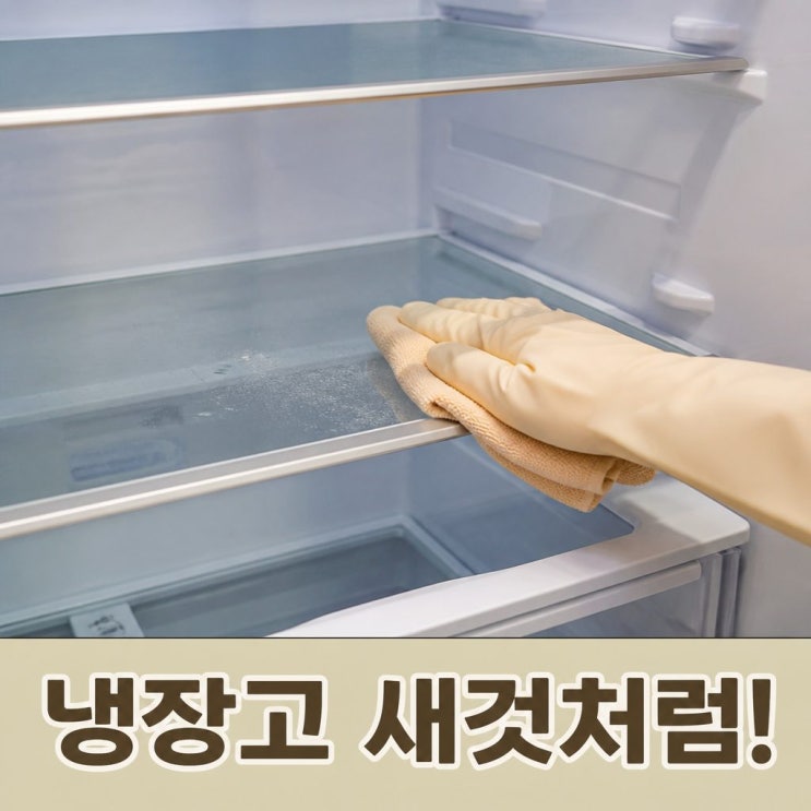 냉장고 찌든때청소하는 방법 냄새까지 싹 지우는 법