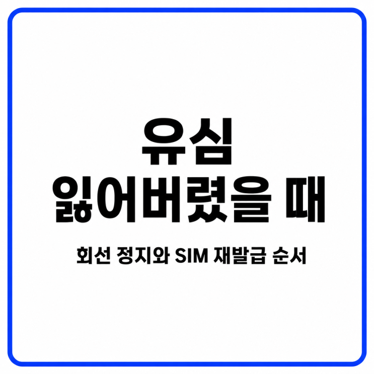 유심 분실시 대처 방법 |분실신고부터 USIM·eSIM재발급까지