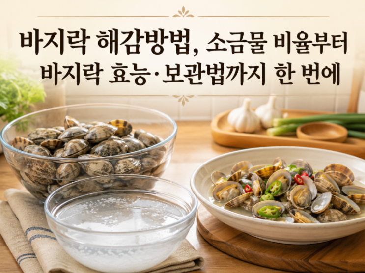 바지락 해감방법, 소금물 비율부터 바지락 효능·보관법까지 한 번에