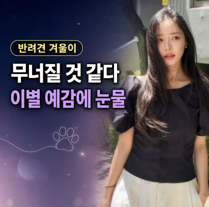 박성광 아내 이솔이 “무너질 것 같다” 고백…19일 반려견 겨울이 ....