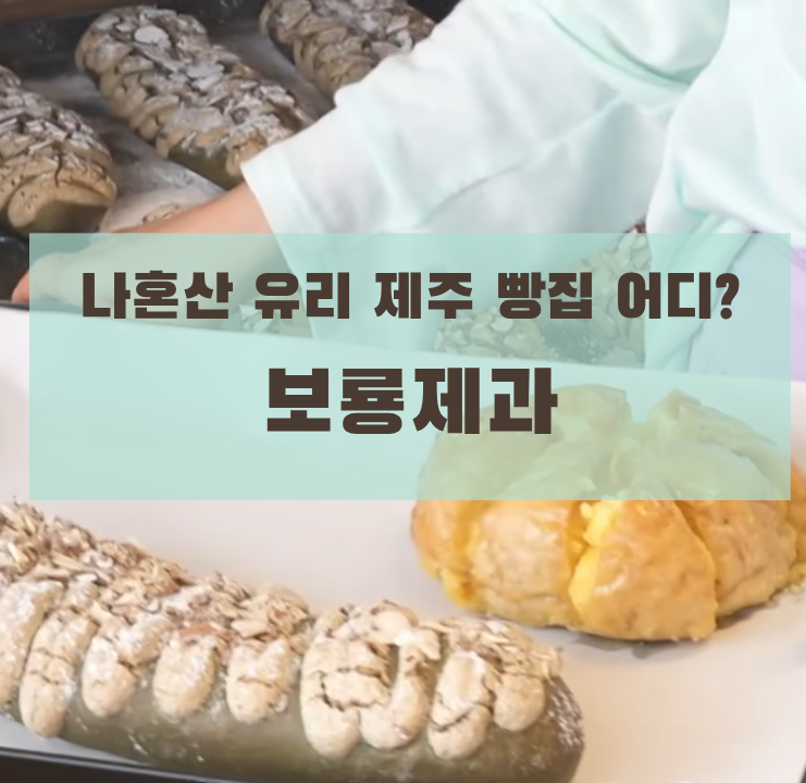 나혼자산다 유리 제주 빵집 어디? 보룡제과 위치·메뉴·시식·무료 커피 총정리