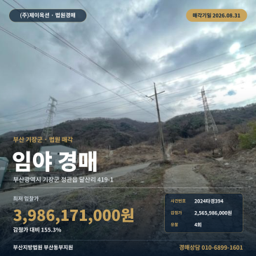 부산임야경매·산지ㅣ부산광역시 기장군 정관읍 달산리 419-1ㅣ2024타경394 썸네일