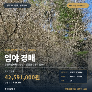 춘천임야경매·산지ㅣ강원특별자치도 춘천시 남산면 수동리 산60ㅣ2025타경50604 썸네일