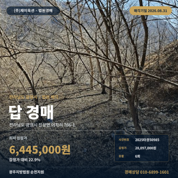 광양논경매·농지ㅣ전라남도 광양시 진상면 어치리 766-1ㅣ2025타경50985 썸네일