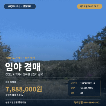 거제산지경매·임야ㅣ경상남도 거제시 장목면 율천리 산95ㅣ2025타경21210 썸네일