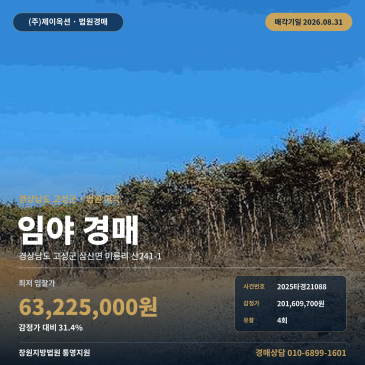 고성산경매·임야ㅣ경상남도 고성군 삼산면 미룡리 산241-1ㅣ2025타경21088 썸네일