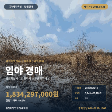 원주토지경매·임야ㅣ강원특별자치도 원주시 소초면 학곡리 572ㅣ2025타경244 썸네일