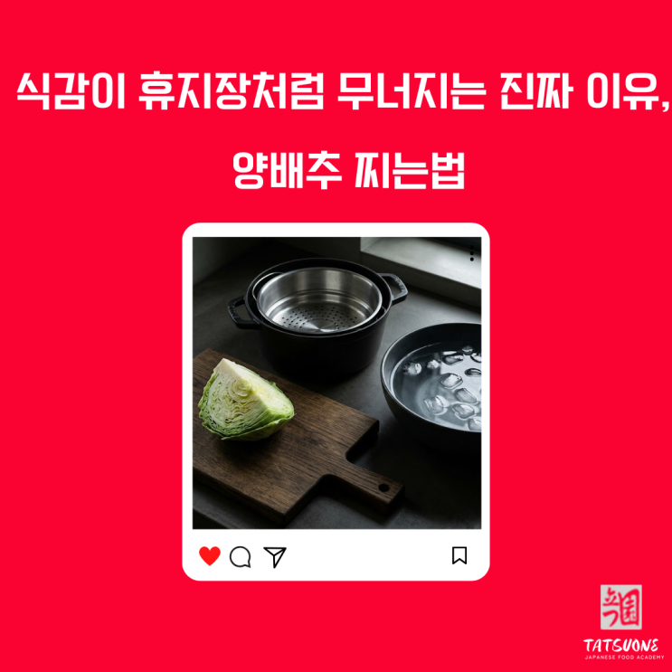 양배추 찌는법 찬물부터  냄비 전자레인지 시간까지 정리 한번에 해드릴게요 이것만 보세요!