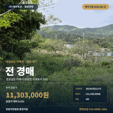 거제토지경매·농지ㅣ경상남도 거제시 일운면 지세포리 543ㅣ2025타경21275 썸네일
