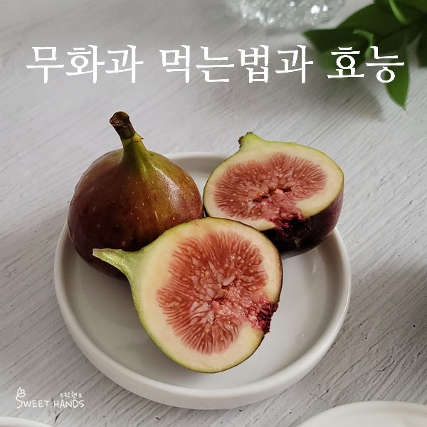 8월 제철과일 무화과 먹는법 6가지, 무화과 효능부터 보관법까지
