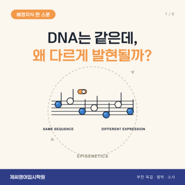 옥길동 영어학원 제씨영어입시학원 - 후성유전학 카드뉴스
