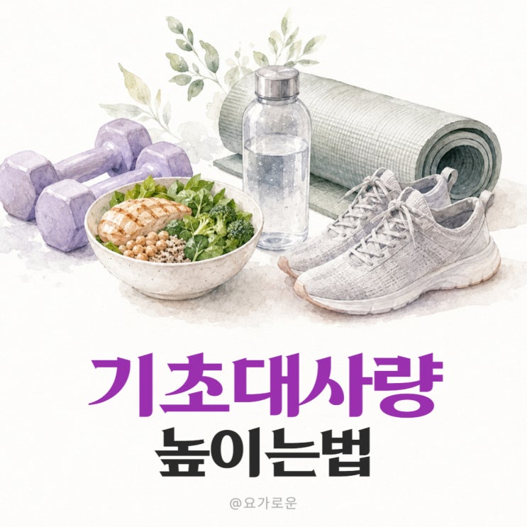 물만 마셔도 살찌는 몸, 기초대사량 높이는 방법 5가지