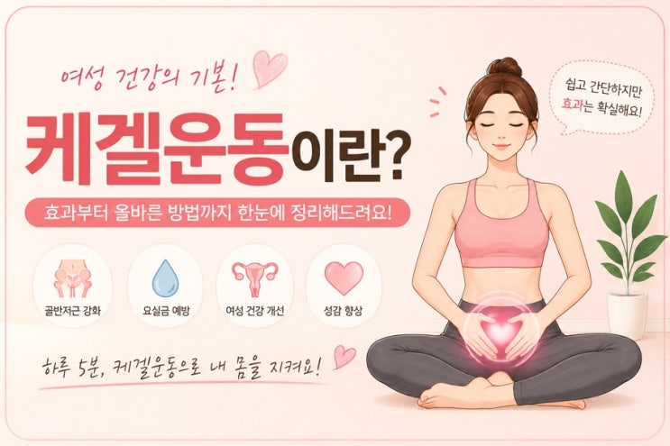 케겔운동이란? 골반저근 운동 효과부터 올바른 방법까지