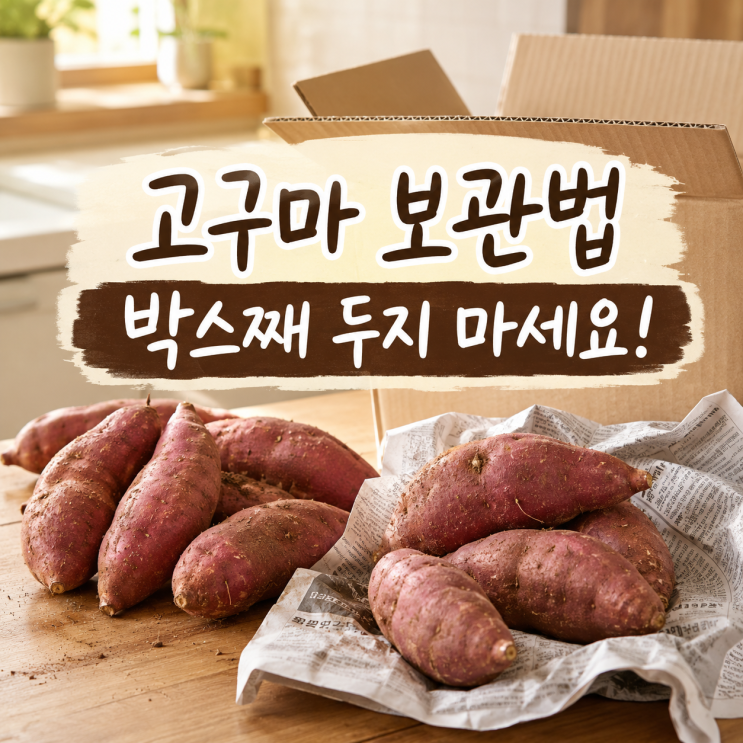 고구마 보관법, 박스째 두면 썩어요! 오래 보관하는 방법