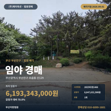 부산임야경매ㅣ부산광역시 부산진구 초읍동 산129ㅣ2025타경1466 썸네일