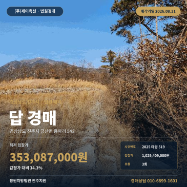 진주농사땅경매·농지ㅣ경남 진주시 금산면 용아리 542ㅣ2025타경519 썸네일