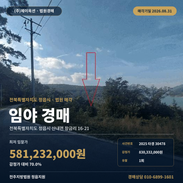 정읍임야경매·산지ㅣ전북 정읍시 산내면 장금리 16-21ㅣ2025타경30478 썸네일
