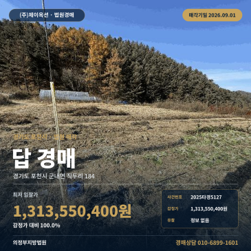 포천논(토지)경매ㅣ경기도 포천시 군내면 직두리 184ㅣ2025타경5127 썸네일