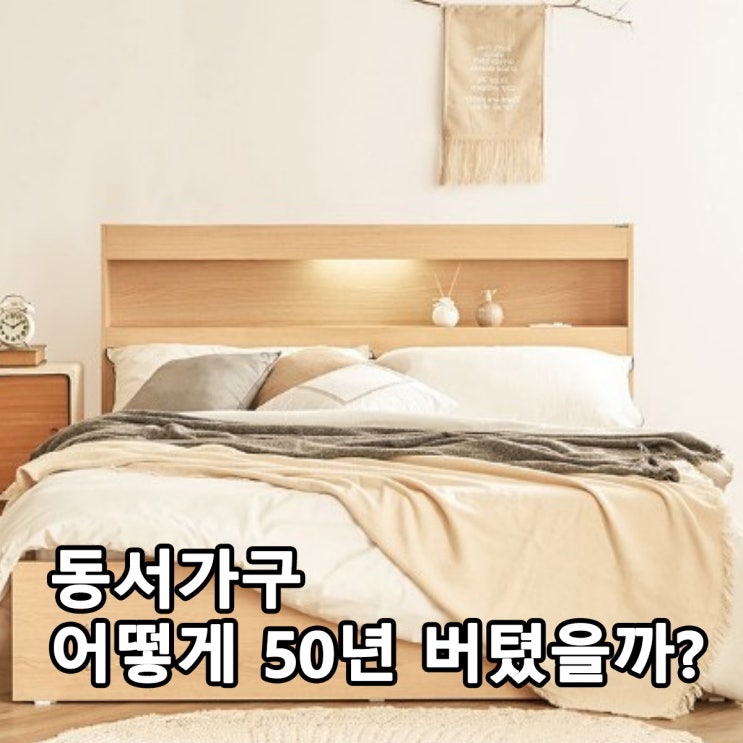동서가구 50년 역사, 1973년부터 지금까지 같은 회사일까?