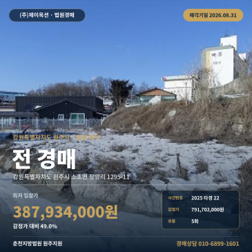 원주 밭 전 경매·농지ㅣ강원 원주시 소초면 장양리 1295-11ㅣ2025타경22 썸네일
