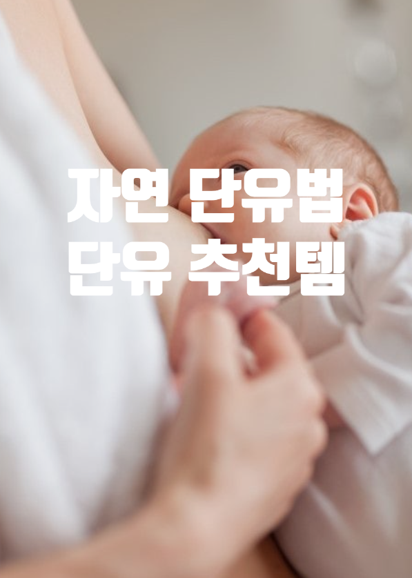 자연스럽게 단유 하는 방법 & 자연 단유 추천템