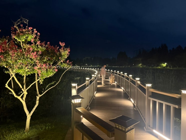 [전주가볼만한곳] 전주 야경 명소 덕진공원 & 연화정 도서관 산책 솔....