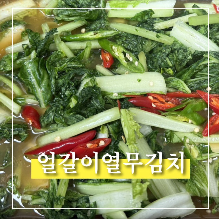 아삭한 얼갈이열무김치 레시피, 초보도 맛있게 담그는 방법