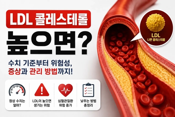 LDL 콜레스테롤 높으면 생기는 문제｜정상수치와 낮추는 방법 총정리