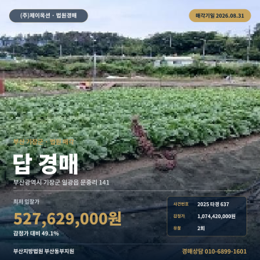 부산논경매·농지ㅣ부산 기장군 일광읍 문중리 141ㅣ2025타경637 썸네일