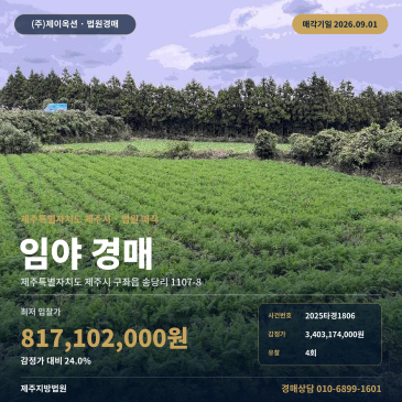 제주임야경매ㅣ제주특별자치도 제주시 구좌읍 송당리 1107-8ㅣ2025타경1806 썸네일