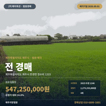 제주시 농지 경매 한경면 청수리 일괄매각 토지와 농취증 확인 2025타경1246 썸네일